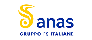 Logo__0008_ANAS